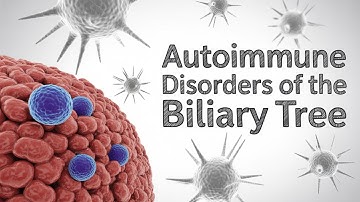 Autoimmune Disorders of the Biliary Tree | USMLE Step 2 CK | Internal Medicine High-Yield Hepatology