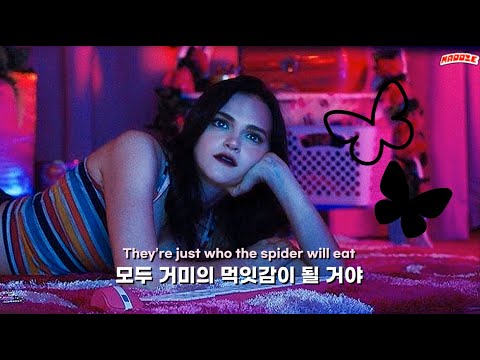인터넷 속에 갇힌 곤충들 🦋 𝙈𝙚𝙡𝙖𝙣𝙞𝙚 𝙈𝙖𝙧𝙩𝙞𝙣𝙚𝙯 - 𝙎𝙋𝙄𝘿𝙀𝙍 𝙒𝙀𝘽 [한글 가사/해석]
