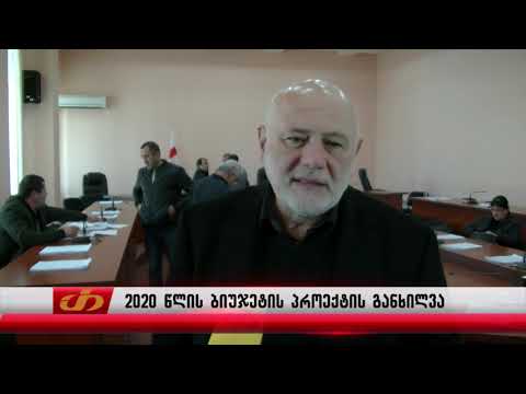 2020 წლის ბიუჯეტის პროექტის განხილვა