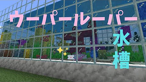 マイクラウーパールーパー巨大水槽