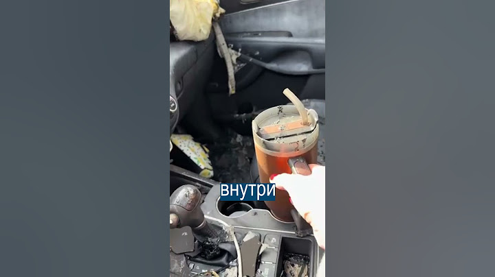 Даже лёд не растаял: в сгоревшей машине выжил только термос