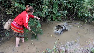 Surprised to Find Big Fish In The Lake By The Stream During The Dry Season How To Catch Fish By Hand