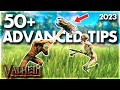 50 advanced tips in valheim 2024 valheim tips  tricks