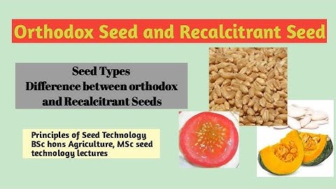Orthodox seeds and Recalcitrant seeds|Seeds types|Difference between orthodox and Recalcitrant seeds