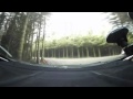 11 Degrees Racing | Rally: 360° Video