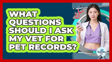 What Questions Should I Ask My Vet for Pet Records?