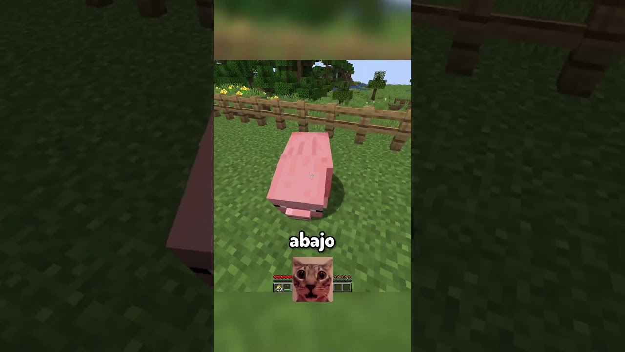 la partida mas rapida #shorts #minecraft