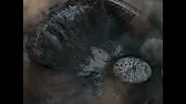 Монте Кристо