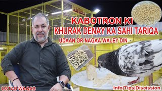 Ustad Waqas|KhuraK Denay Ka Sahi Tariqa|Kabotaron Ki KhuraK Udhaan Or Duck  Waley Din|Info|Tips