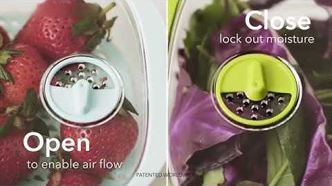 LUXEAR Produce Saver Veggie Fruit Storage Containers