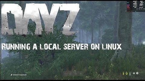 How to run a local Dayz Server on Linux