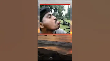 MEME PRINDAPAN LUCU Shorts Memes Humor Kocak Funny Komedi Lucu Fyp Ngakak Viral 