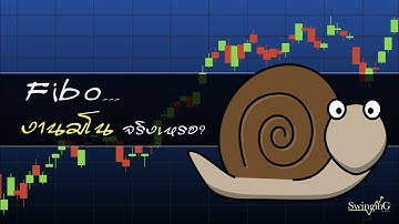 Fibo งานมโนจริงเหรอ?, 10/06/2017