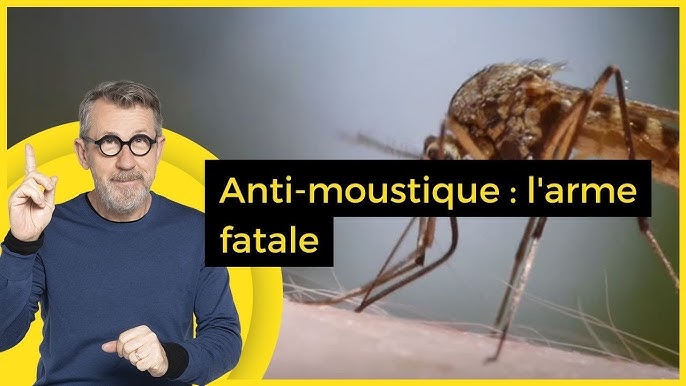 Combattre les moustiques par la science - Québec Science