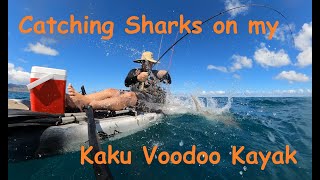 Catching Sharks and Trevally On My Kaku VooDoo