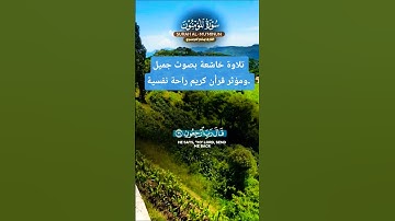 قرأن كريم تلاوة خاشعة راحة نفسية بصوت جميل #قران_كريم #elmulquranعلم #قرآن