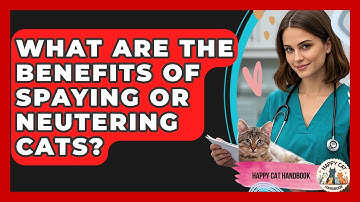 What Are The Benefits Of Spaying Or Neutering Cats? - Happy Cat Handbook