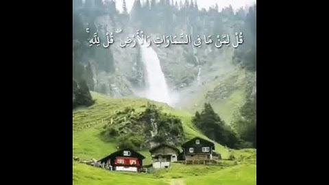 ماتيسر من سورة الأنعام || القارئ عبدالله الموسى