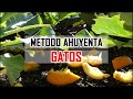 AHUYENTAR GATOS de nuestra HUERTA o HUERTO URBANO (Truco de la ABUELA) | Locos por la Huerta