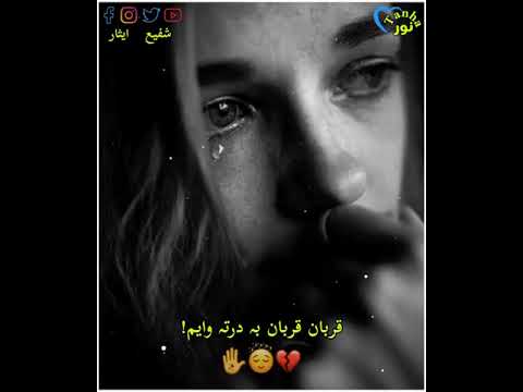 Qurban Qurban B Dar Ta Wayam 