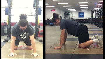 Quadruped Scapular Push Up