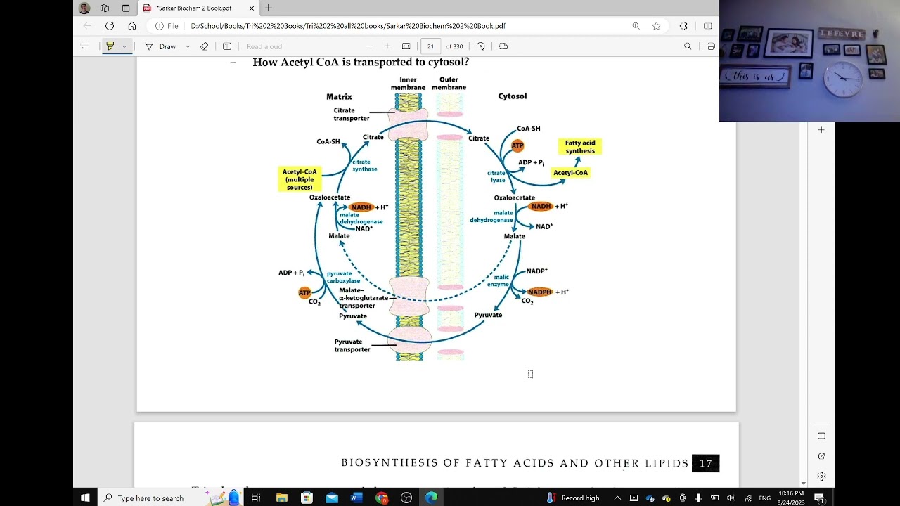 Biochem II Ch 2 Biosynthesis of FA and Other Lipids Part 1
