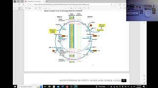 Biochem II Ch 2 Biosynthesis of FA and Other Lipids Part 1