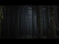 EPIC DARK HORROR TRAILER MUSIC THE HUNTED 2016 EPIC DARK HORROR TRAILER MUSIC THE HUNTED 2016