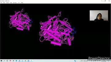 Bioinformatika - Cara Melihat Beberapa Struktur Protein 3D Menggunakan Aplikasi Cn3D dan Chimera