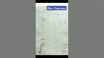 Class 1 Integration # Onam exam previous questions & answers