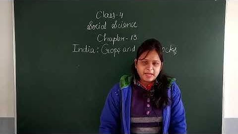 Class 4 Social Science Chapter 13