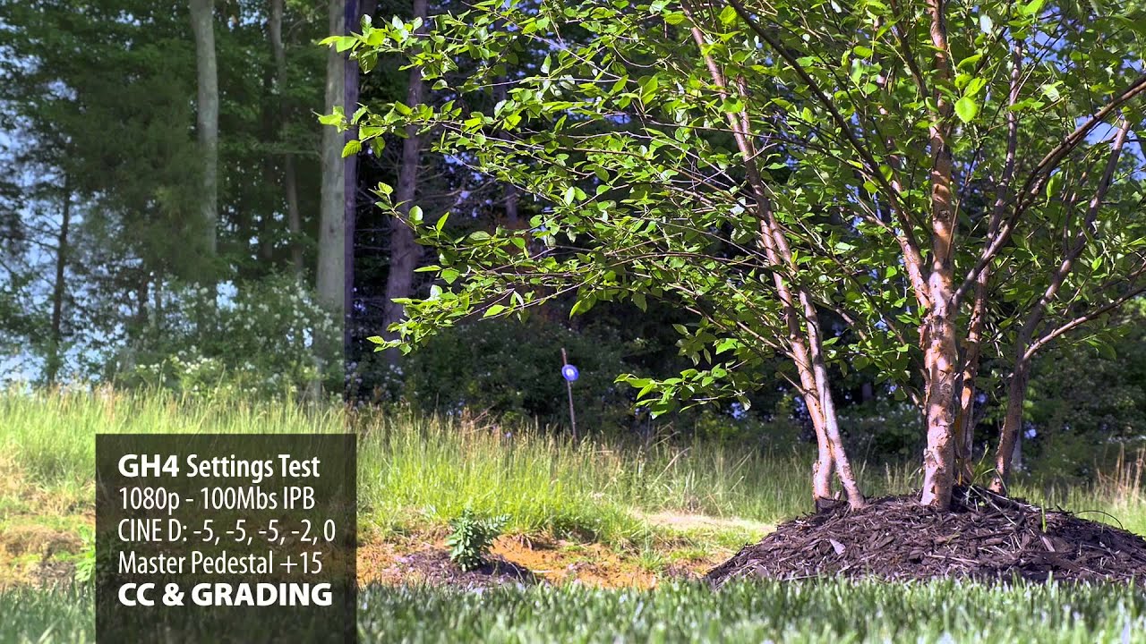 GH4 Settings Test - YouTube