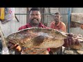 Kasimedu selvam fish cutting  uk sons marine