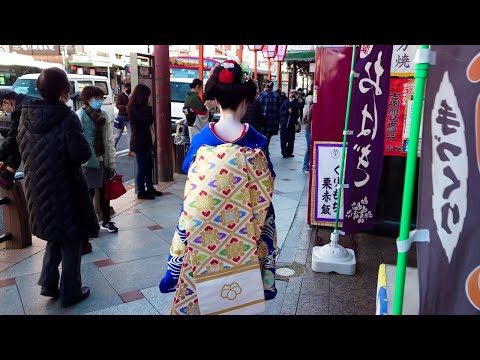 Geisha Walk through the Gion district of Kyoto | Japan Travel 京都、祇園四条を歩く舞妓さん | 美しい振袖、着物と帯