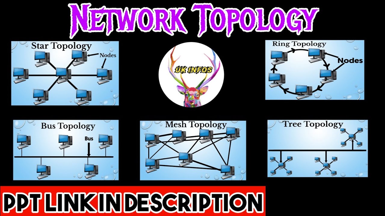 Network Topology | network topology | types of network topology | What is  topology? - YouTube