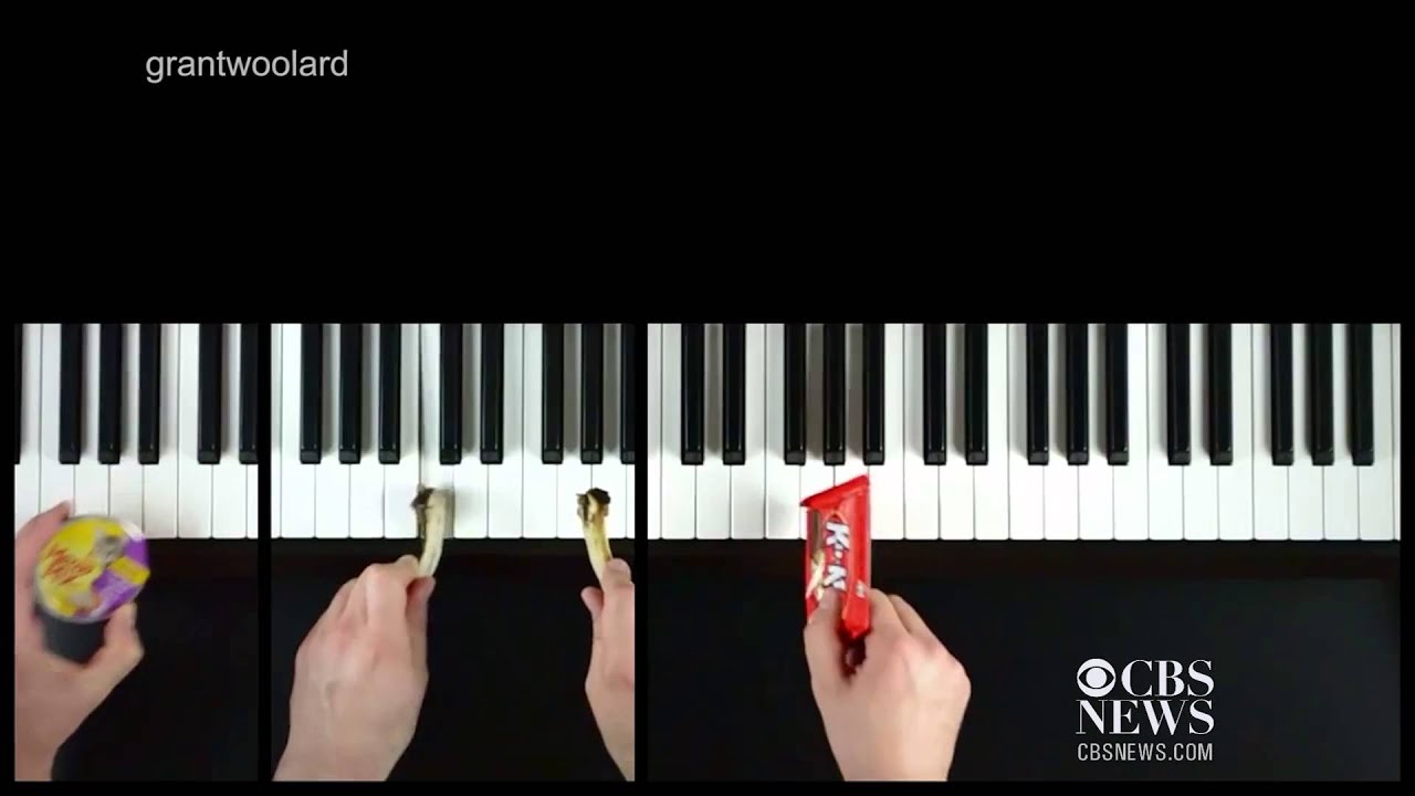 Giant monster hamster trashes town