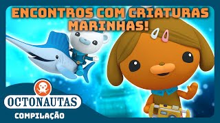 Octonautas - 💦 Encontros com Criaturas Marinhas! 🦑 | Compilação | Episódios inteiros