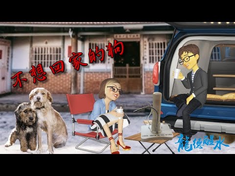 高氧水/能量水/健康/活力/龍德醒水/不想回家的狗-1