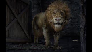 Red Dead Redemption 2 - Arthur Retrieves Margaret's Escaped Wild Animals - Lion Attack - Vostfr