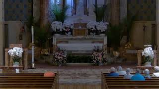 St. Paul the Cross Live Stream