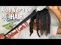 Aloe Vera Treatment on 4C HAIR | Onion Juice Treatment for Hair Growth