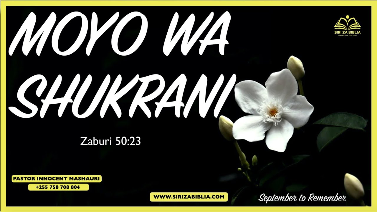 #LIVE: AMETENDA TENA  // MAOMBI YA SHUKRANI