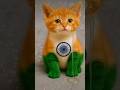 CHHOTU KI CAT KA NEW HOUSE KISNE BANAYA 😂🔥| #shorts #shortsfeed #funny #comedy