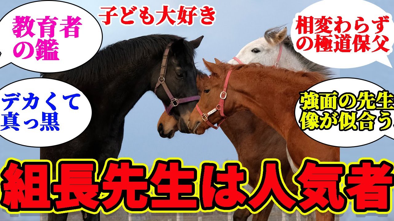 まめちん マメちん - ニコニコ動画
