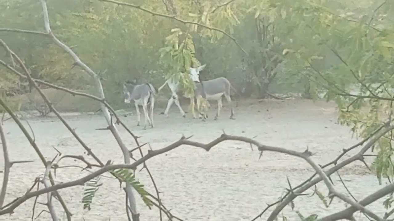 Please subscribe me 🙏🙏