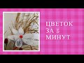 Как сделать цветок  из бумаги своими руками | ОРИГАМИ ЦВЕТОК | Цветы из бумаги