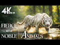 Amazing creature planet 4k explore relax attractive animal movies with soothing relaxing music