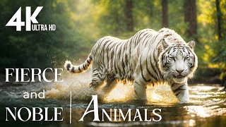 Amazing Creature Planet 4K 🌿Explore Relax Attractive animal movies with soothing relaxing music