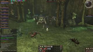 L2Flash Queen Ant Boss