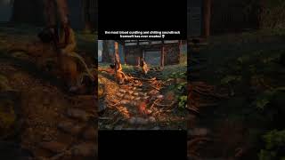 Fromsoft Always Overcooking In Their Games